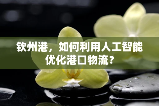 钦州港，如何利用人工智能优化港口物流？