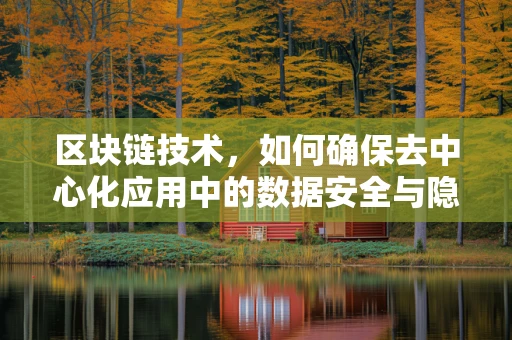 区块链技术，如何确保去中心化应用中的数据安全与隐私？