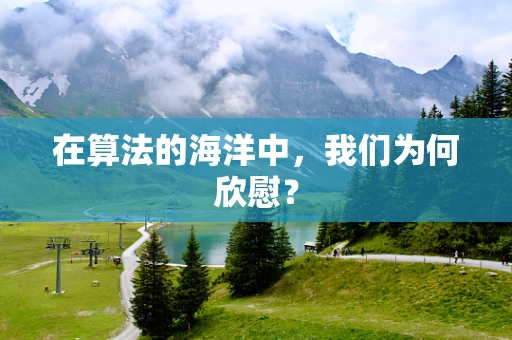 在算法的海洋中，我们为何欣慰？