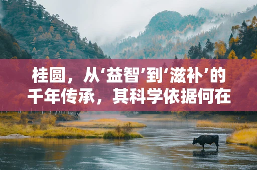 桂圆，从‘益智’到‘滋补’的千年传承，其科学依据何在？