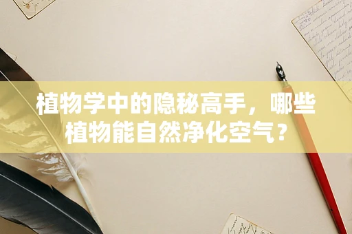 植物学中的隐秘高手，哪些植物能自然净化空气？
