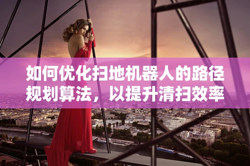 如何优化扫地机器人的路径规划算法，以提升清扫效率？