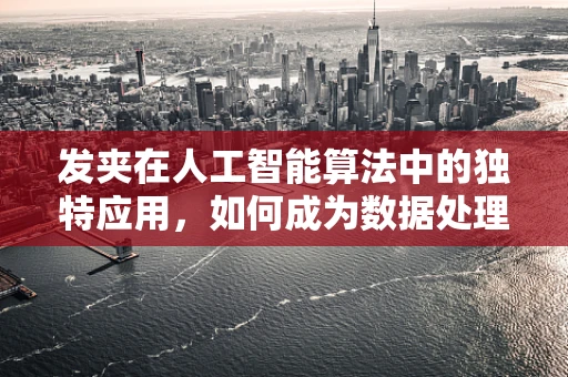 发夹在人工智能算法中的独特应用，如何成为数据处理的隐形英雄？