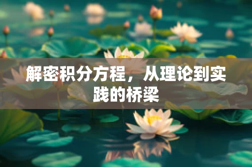 解密积分方程，从理论到实践的桥梁