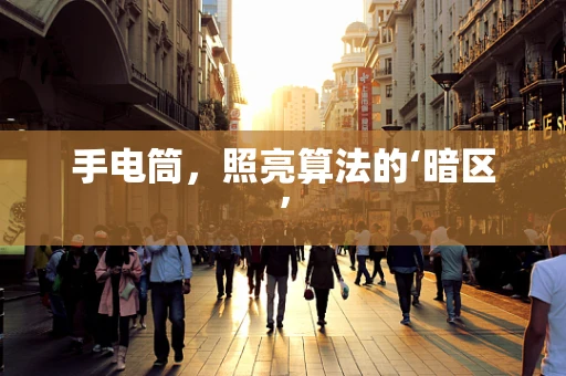 手电筒，照亮算法的‘暗区’