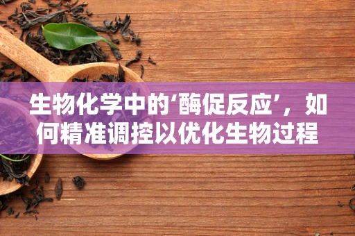 生物化学中的‘酶促反应’，如何精准调控以优化生物过程？
