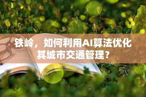 铁岭，如何利用AI算法优化其城市交通管理？