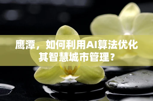 鹰潭，如何利用AI算法优化其智慧城市管理？
