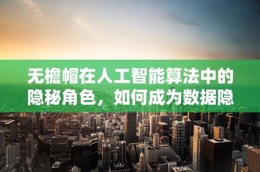 无檐帽在人工智能算法中的隐秘角色，如何成为数据隐私的守护者？