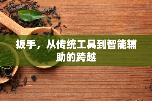 扳手，从传统工具到智能辅助的跨越