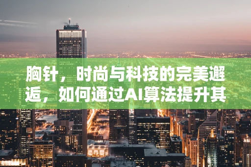 胸针，时尚与科技的完美邂逅，如何通过AI算法提升其个性化推荐？