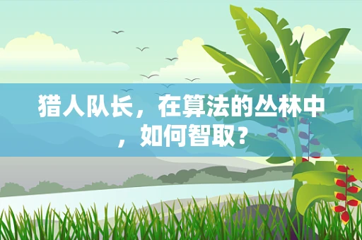 猎人队长，在算法的丛林中，如何智取？