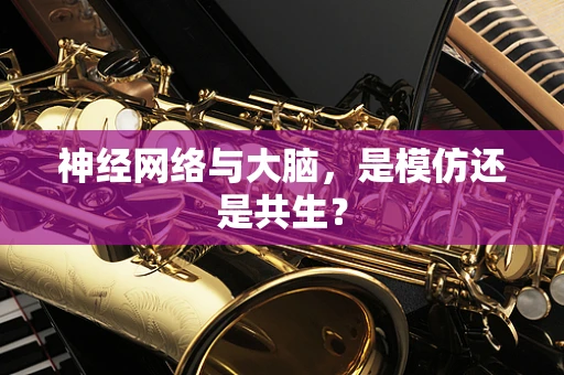 神经网络与大脑，是模仿还是共生？