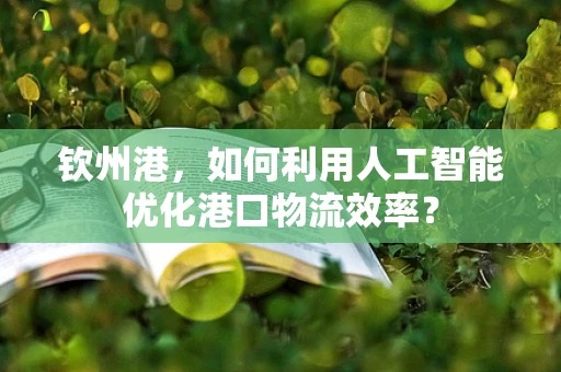 钦州港，如何利用人工智能优化港口物流效率？