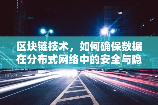 区块链技术，如何确保数据在分布式网络中的安全与隐私？
