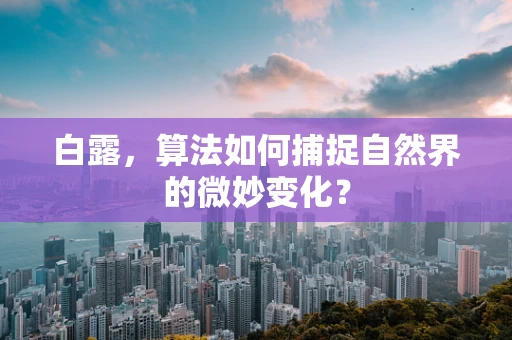 白露，算法如何捕捉自然界的微妙变化？