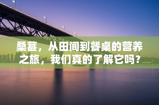 桑葚，从田间到餐桌的营养之旅，我们真的了解它吗？