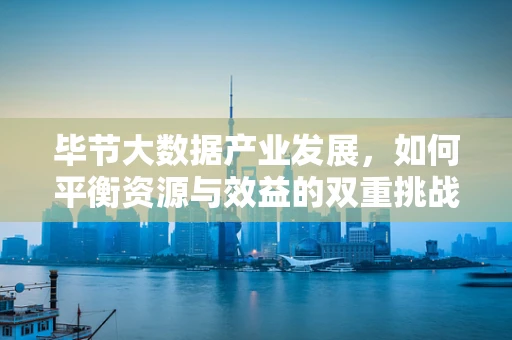 毕节大数据产业发展，如何平衡资源与效益的双重挑战？