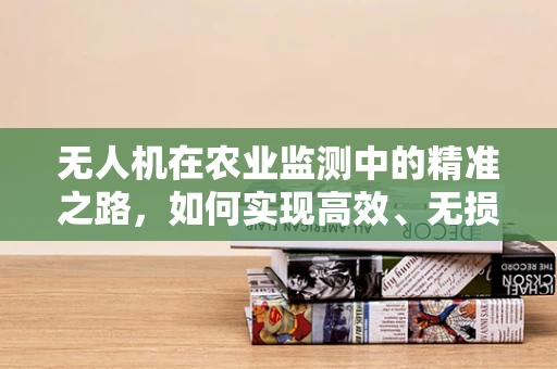 无人机在农业监测中的精准之路，如何实现高效、无损的作物监测？