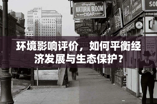 环境影响评价，如何平衡经济发展与生态保护？