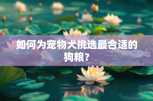 如何为宠物犬挑选最合适的狗粮？