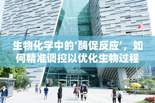 生物化学中的‘酶促反应’，如何精准调控以优化生物过程？