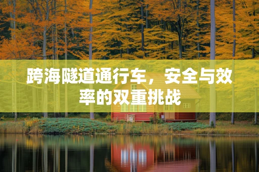 跨海隧道通行车，安全与效率的双重挑战