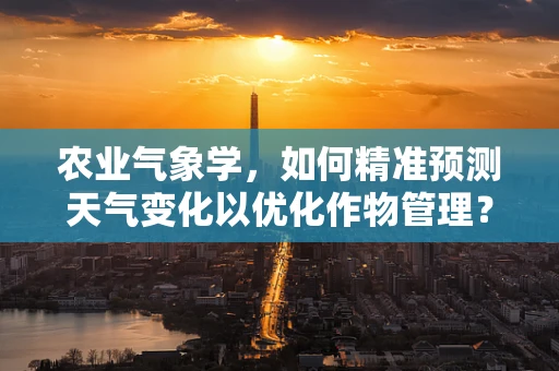 农业气象学，如何精准预测天气变化以优化作物管理？