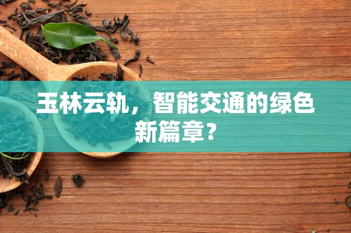 玉林云轨，智能交通的绿色新篇章？