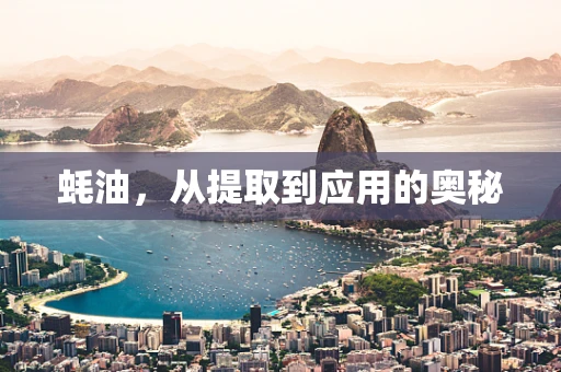 蚝油，从提取到应用的奥秘