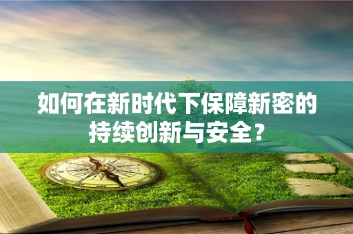 如何在新时代下保障新密的持续创新与安全？