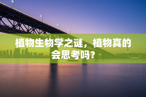 植物生物学之谜，植物真的会思考吗？