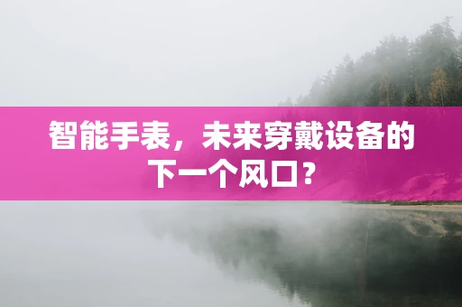 智能手表，未来穿戴设备的下一个风口？