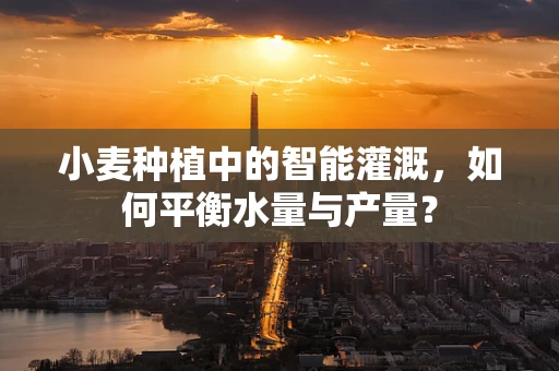 小麦种植中的智能灌溉，如何平衡水量与产量？