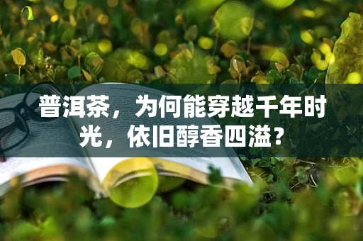 普洱茶，为何能穿越千年时光，依旧醇香四溢？