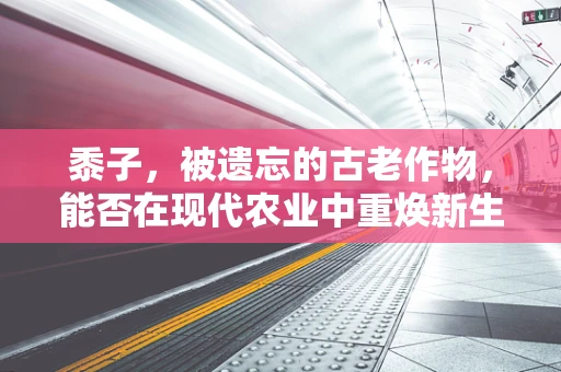 黍子，被遗忘的古老作物，能否在现代农业中重焕新生？