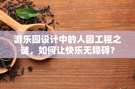 游乐园设计中的人因工程之谜，如何让快乐无障碍？
