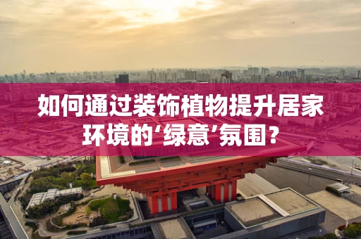 如何通过装饰植物提升居家环境的‘绿意’氛围？