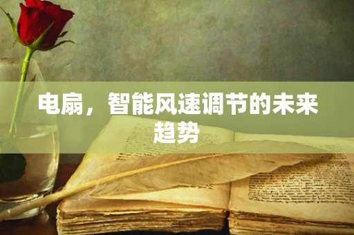 电扇，智能风速调节的未来趋势