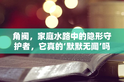 角阀，家庭水路中的隐形守护者，它真的‘默默无闻’吗？
