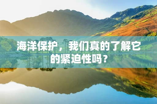 海洋保护，我们真的了解它的紧迫性吗？