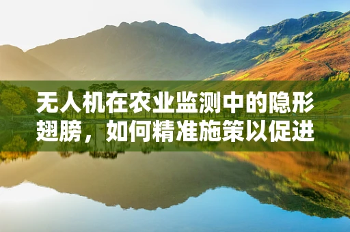 无人机在农业监测中的隐形翅膀，如何精准施策以促进可持续发展？