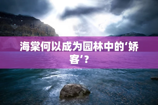 海棠何以成为园林中的‘娇客’？