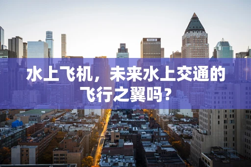水上飞机，未来水上交通的飞行之翼吗？