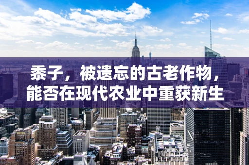 黍子，被遗忘的古老作物，能否在现代农业中重获新生？