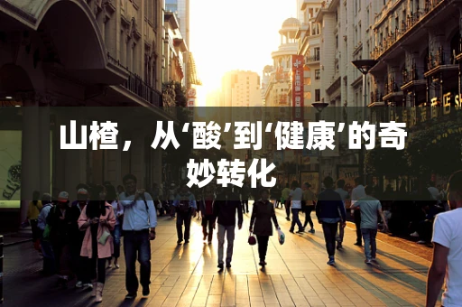 山楂，从‘酸’到‘健康’的奇妙转化