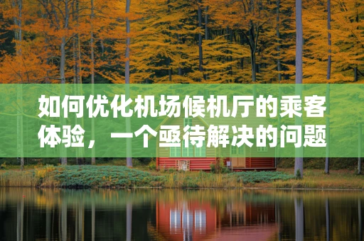 如何优化机场候机厅的乘客体验，一个亟待解决的问题
