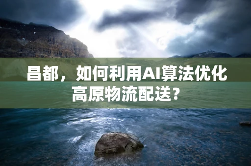 昌都，如何利用AI算法优化高原物流配送？