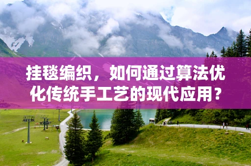 挂毯编织，如何通过算法优化传统手工艺的现代应用？