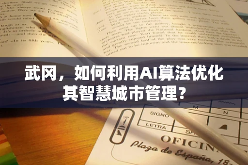 武冈，如何利用AI算法优化其智慧城市管理？